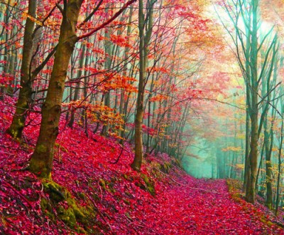 tumblr_ku1eln6dh01qzjig5o1_500_large