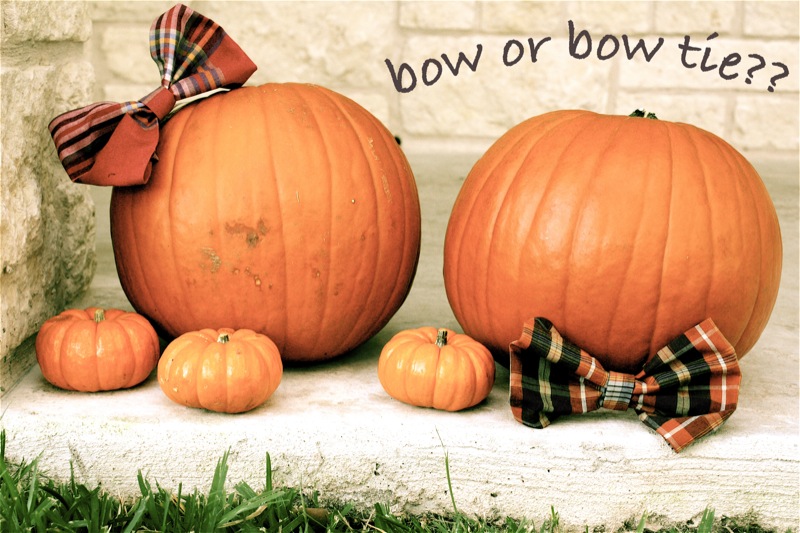 bow or bow tie